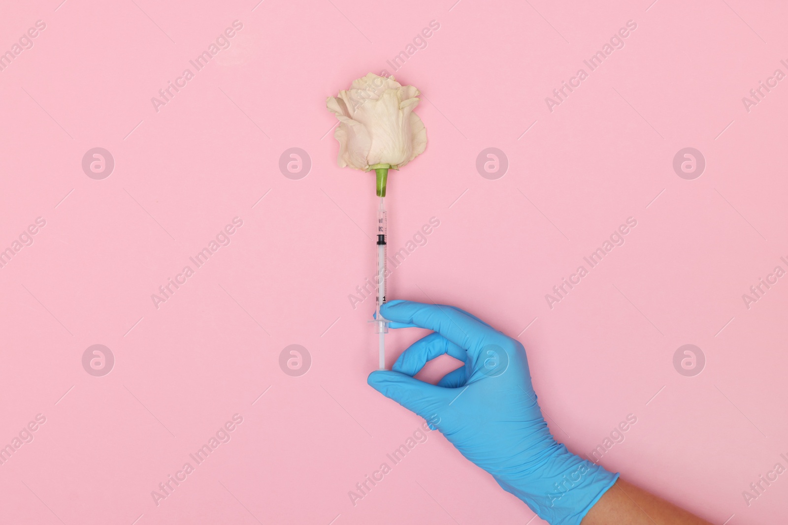 Photo of Doctor making injection to rose on pink background, top view