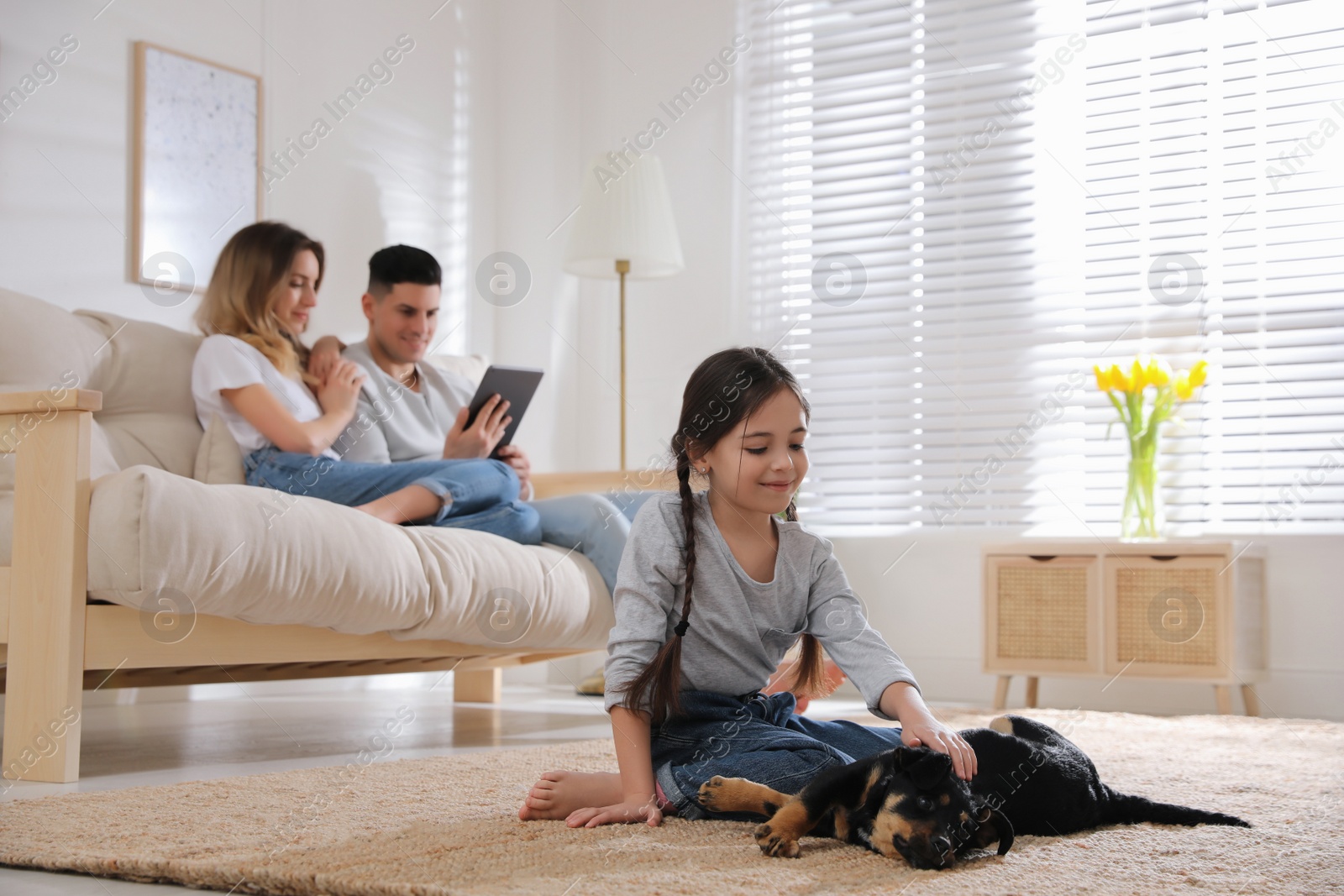 Photo of Little girl playing with puppy while parents sitting on sofa in living room