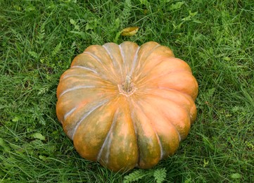 Photo of Ripe pumpkin on green grass, above view. Autumn harvest