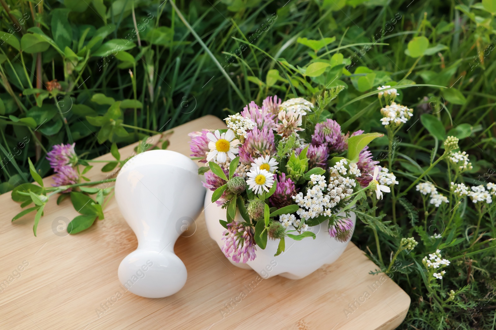 Photo of Ceramic mortar with pestle, different wildflowers and herbs on green grass outdoors