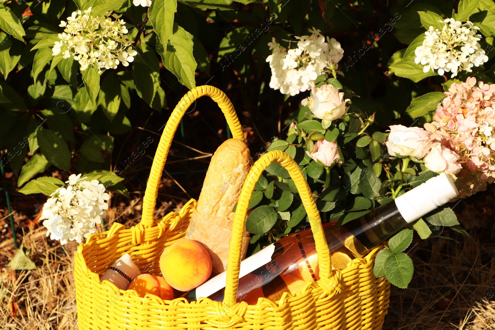 Photo of Yellow wicker bag with roses, peaches, baguette and wine on green grass outdoors