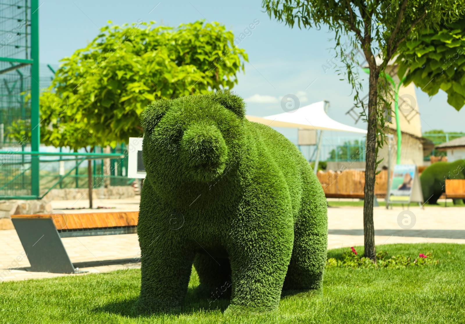 Photo of Beautiful bear shaped topiary at zoo on sunny day. Landscape gardening