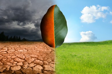 Image of Half dead and alive leaf outdoors. Conceptual photo depicting Earth destroyed by environmental pollution