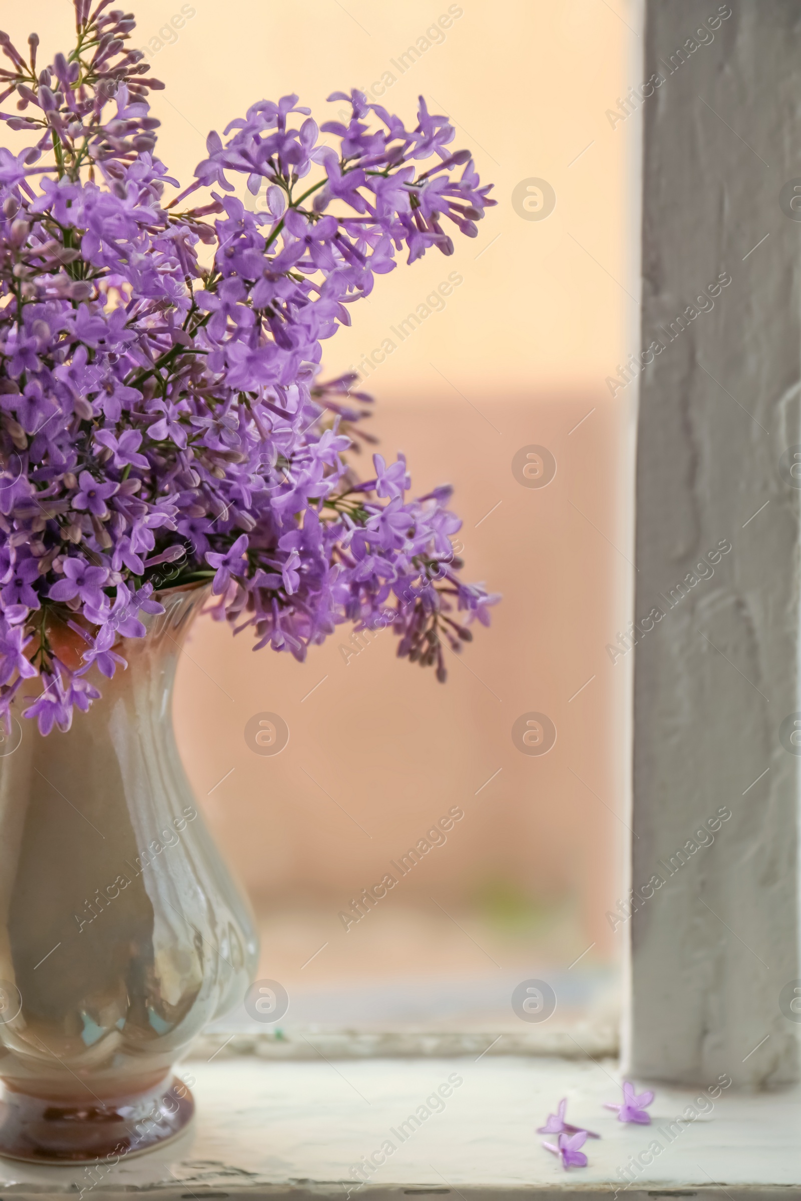 Photo of Beautiful lilac flowers in vase on window sill indoors