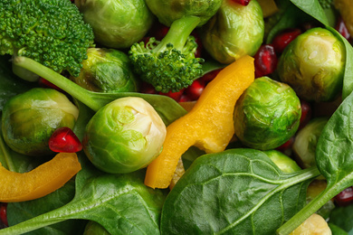 Tasty salad with Brussels sprouts, top view