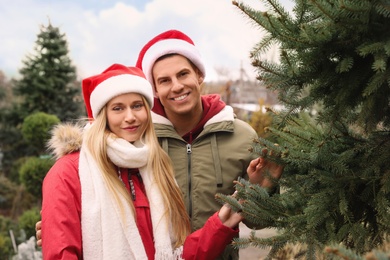 Photo of Couple choosing Christmas tree at market outdoors