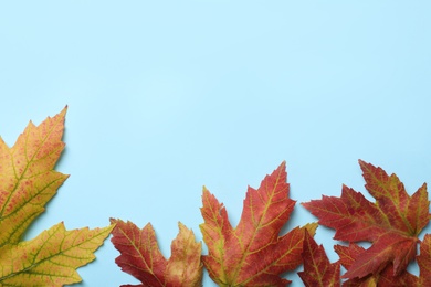 Photo of Colorful autumn leaves on light blue background, flat lay. Space for text