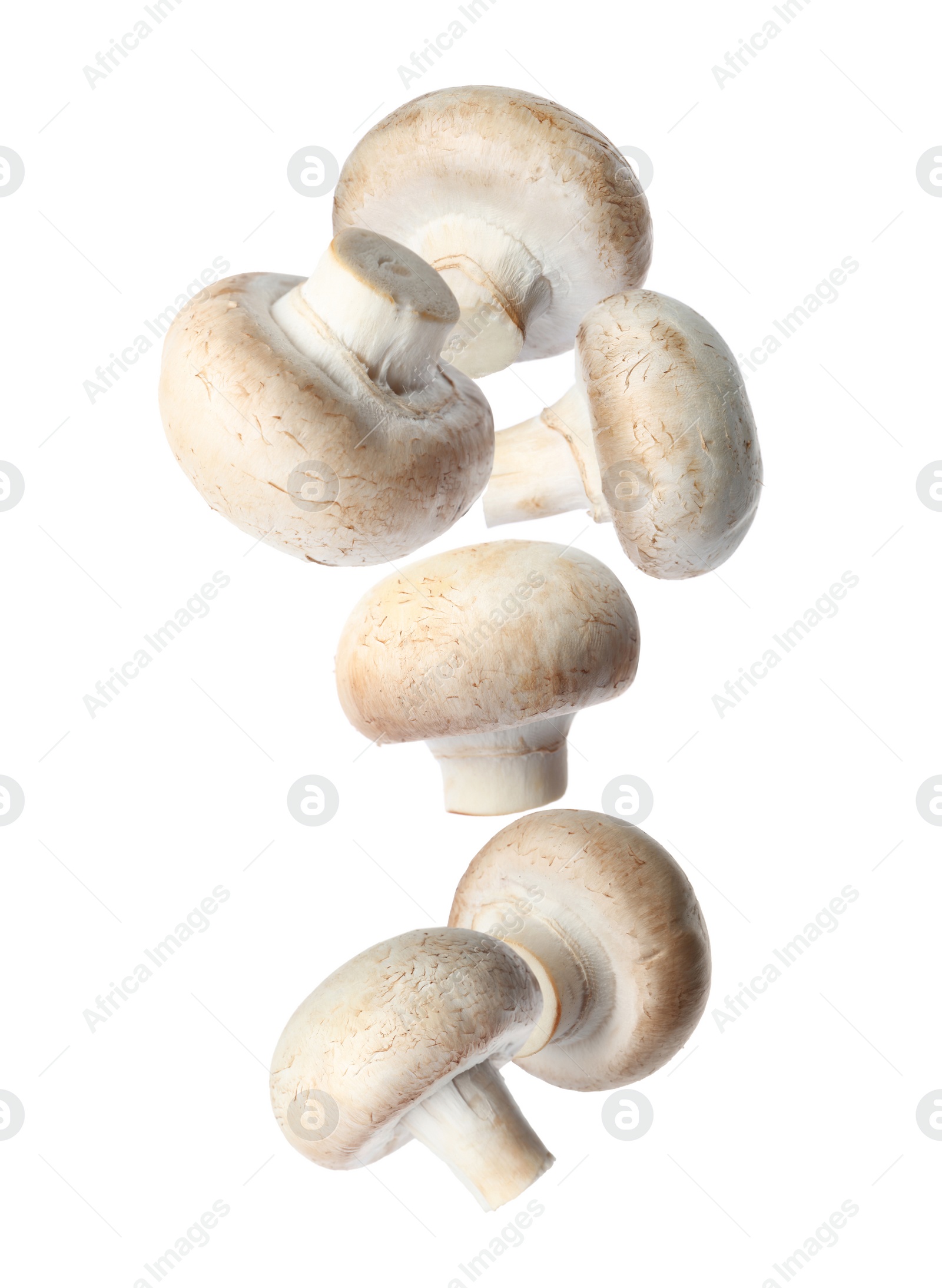 Image of  Set with fresh champignon mushrooms falling on white background