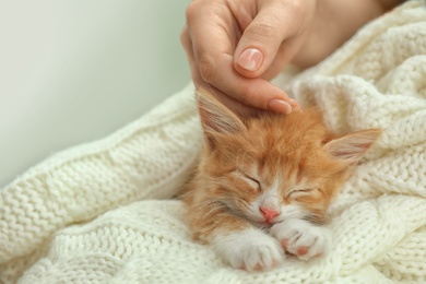 Photo of Woman stroking sleeping little kitten on white knitted blanket, closeup view