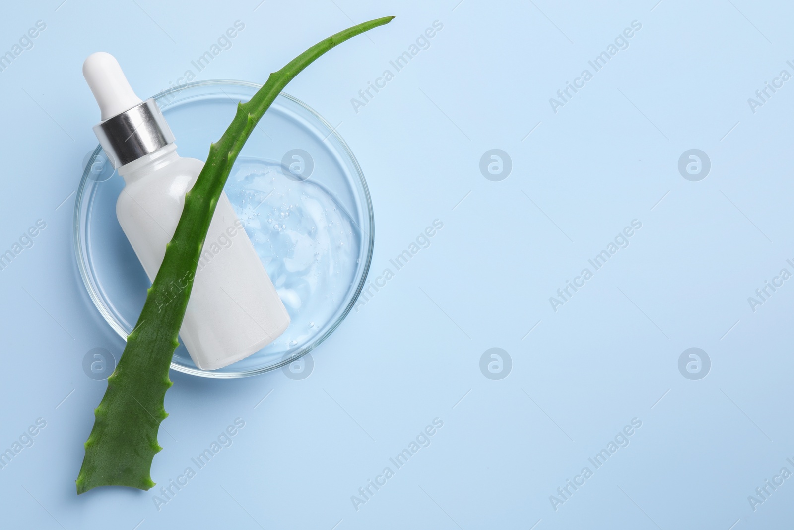 Photo of Petri dish with cosmetic products and aloe vera leaf on light blue background, top view. Space for text