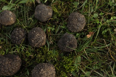 Photo of Fresh truffles on green grass, top view