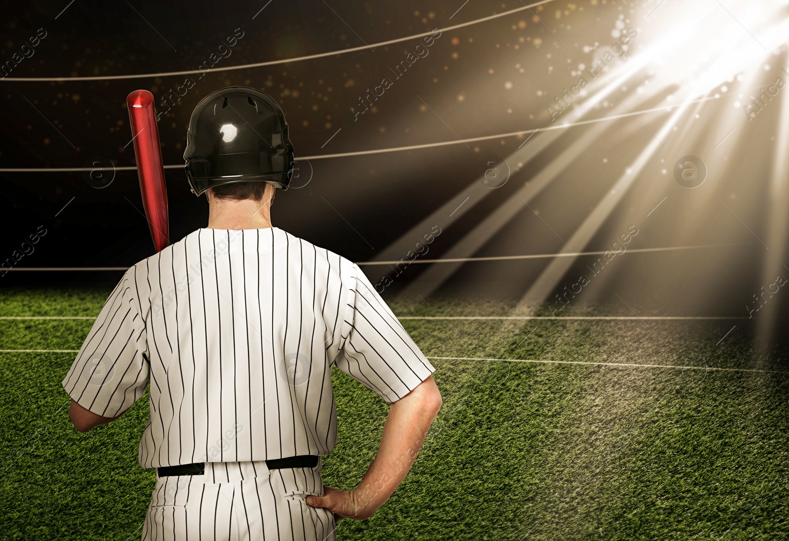 Image of Professional baseball player with bat on stadium, back view. Space for text