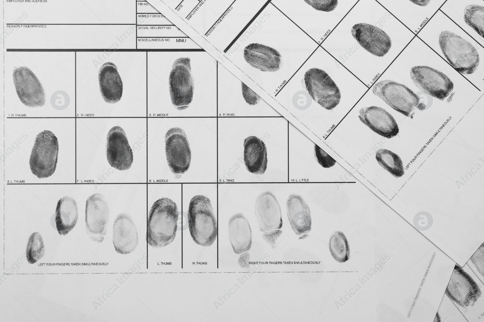 Photo of Fingerprint record sheets, top view. Criminal investigation