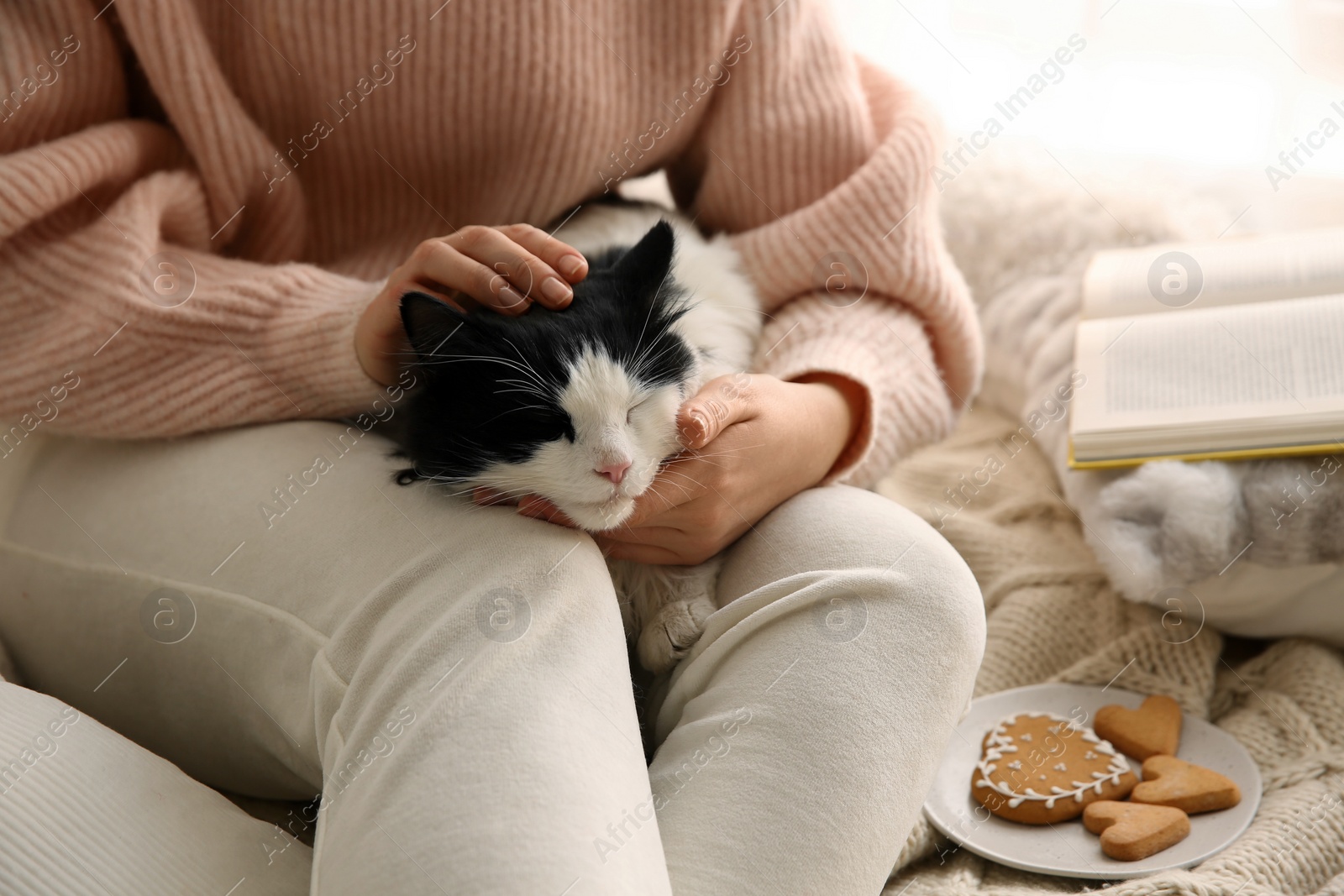 Photo of Woman stroking adorable cat on bed, closeup