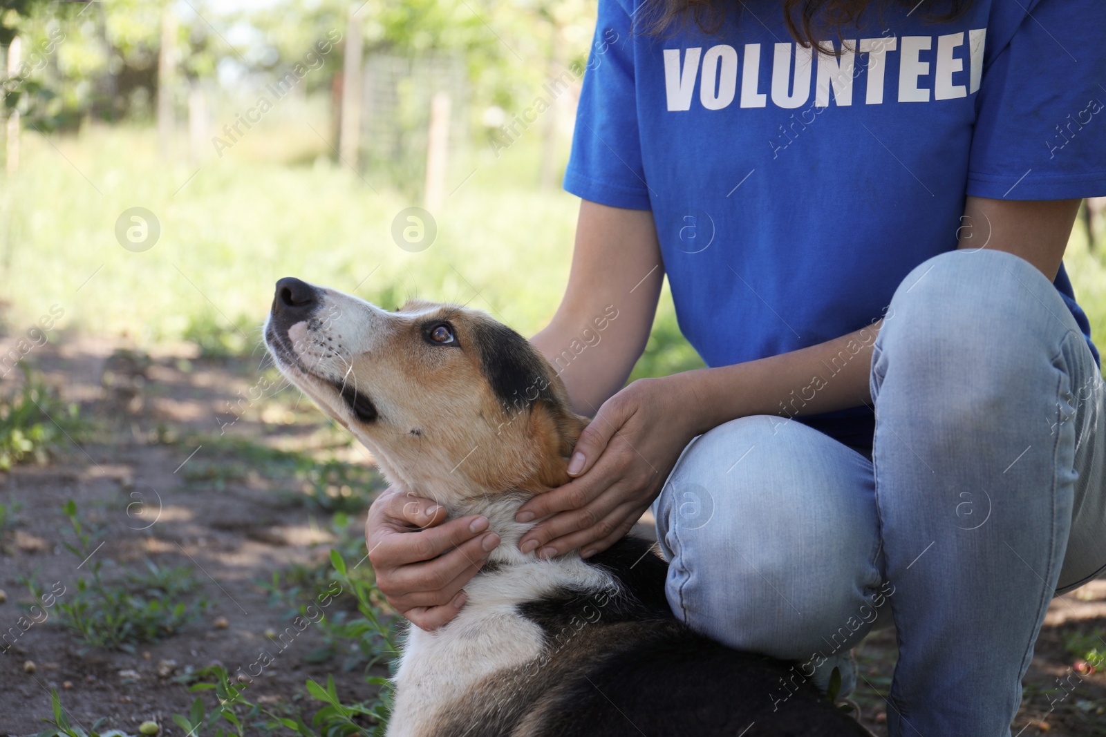 Photo of Volunteer with homeless dog in animal shelter, closeup