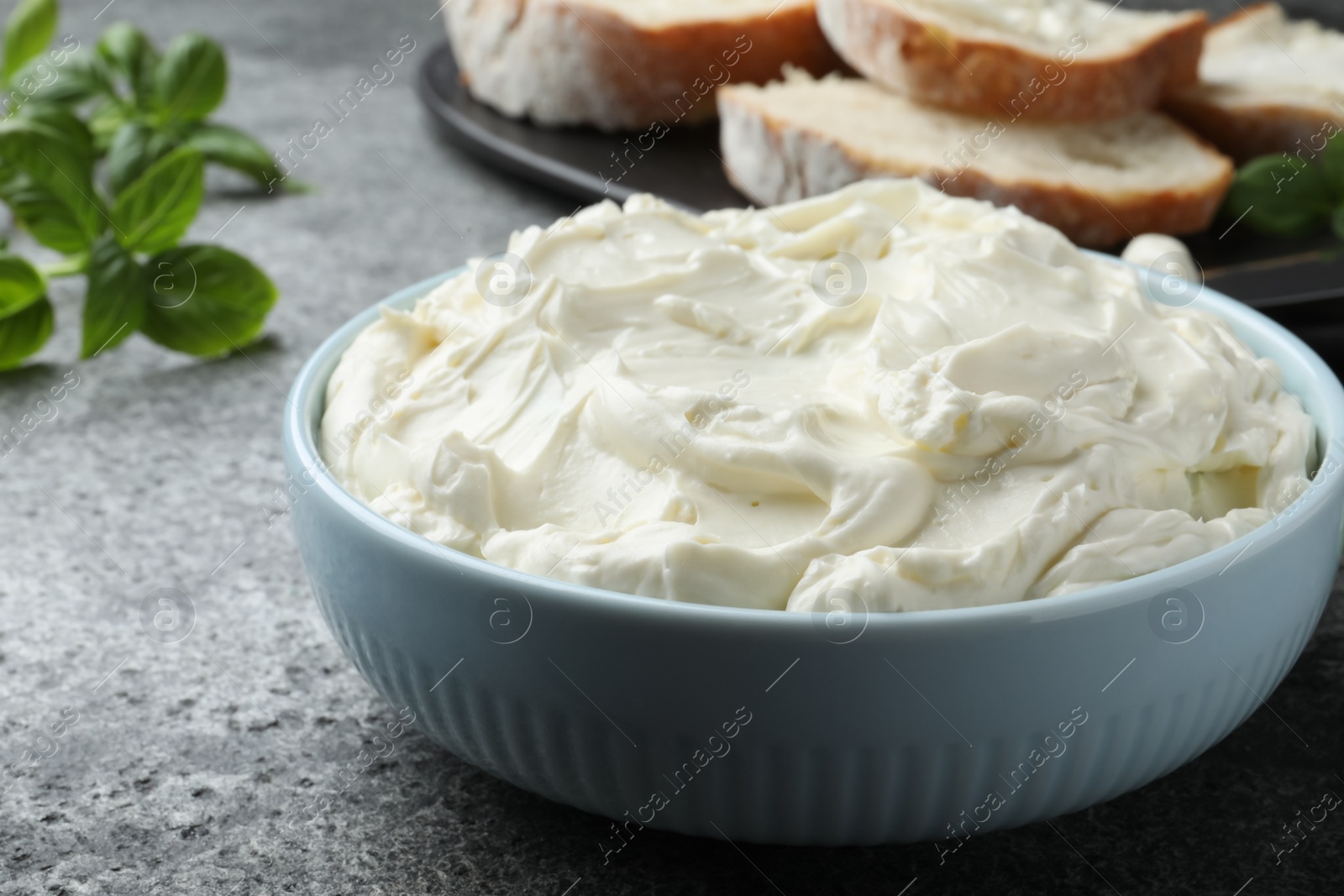 Photo of Tasty cream cheese and basil on grey table, closeup