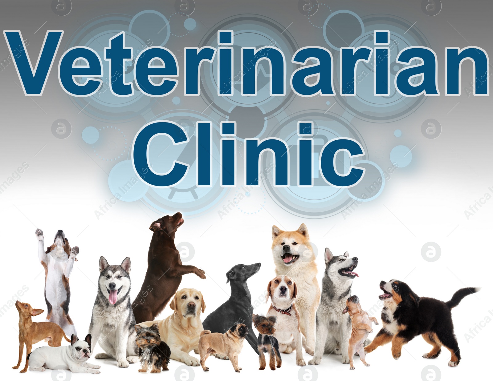 Image of Collage with different dogs and text Veterinarian Clinic on light background