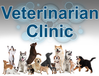 Image of Collage with different dogs and text Veterinarian Clinic on light background