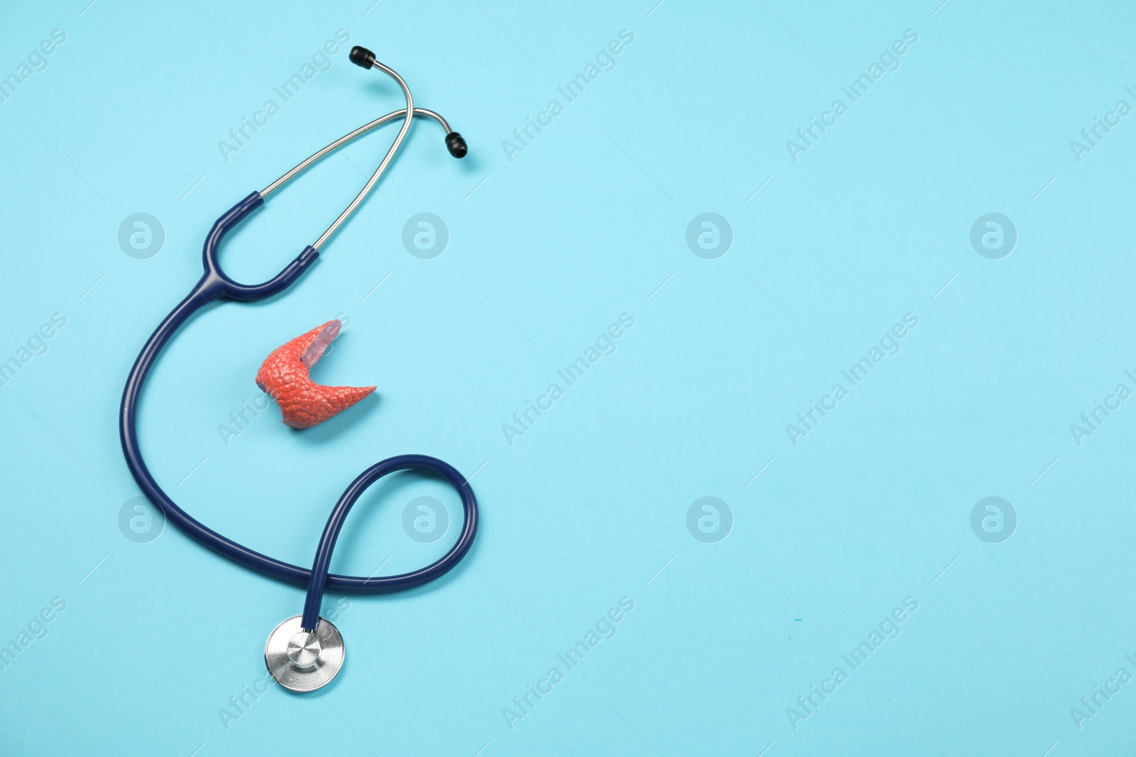 Photo of Endocrinology. Stethoscope and model of thyroid gland on light blue background, top view. Space for text