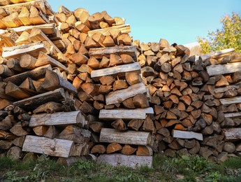 Piles of dry stacked firewood in grass outdoors