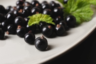 Ripe blackcurrants and leaves on plate, closeup