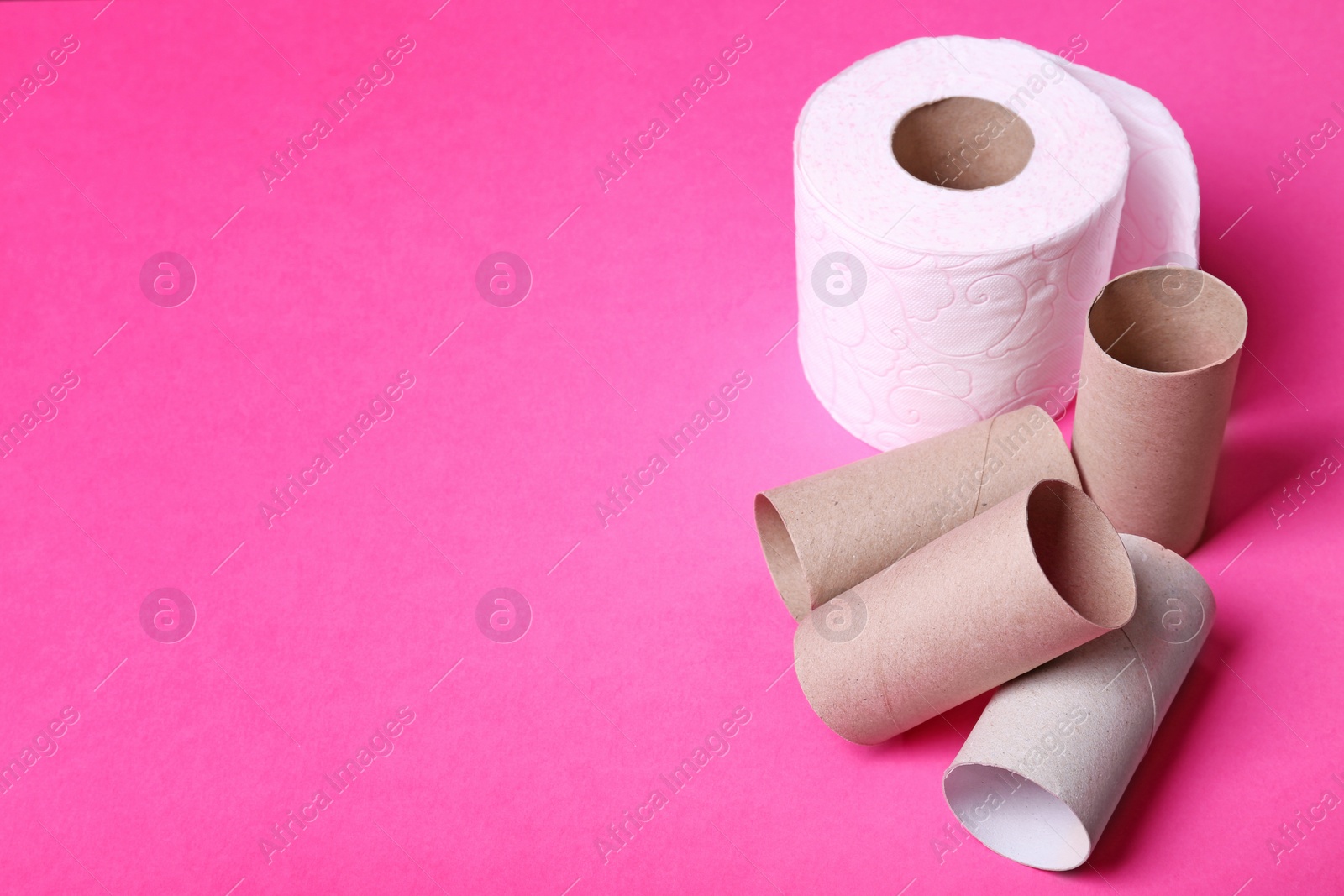 Photo of Toilet paper roll and empty tubes on color background. Space for text