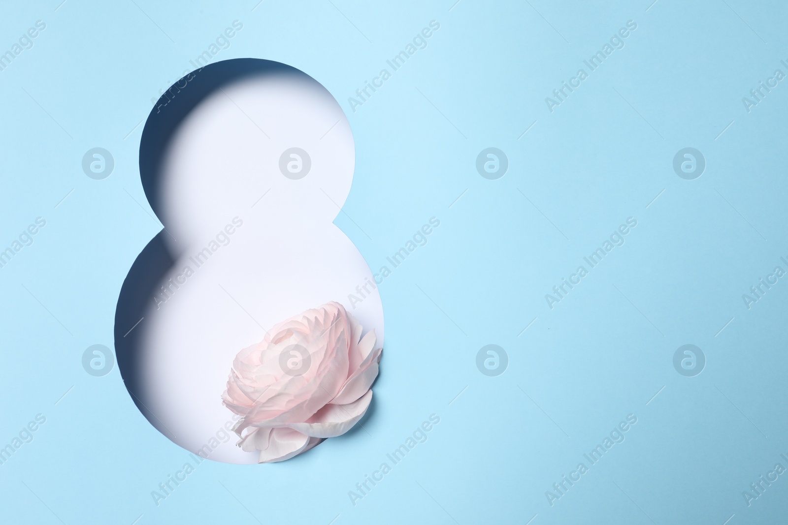 Photo of 8 March greeting card design with ranunculus flower and space for text, top view. Happy International Women's Day