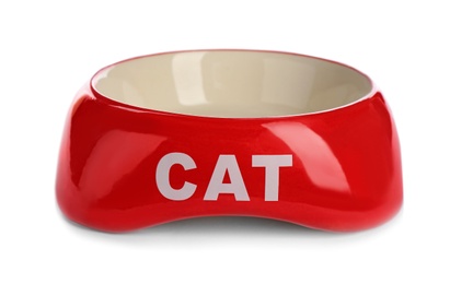 Photo of Cat bowl on white background. Pet care