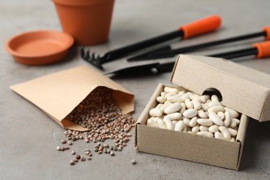 Different vegetable seeds and gardening tools on grey table