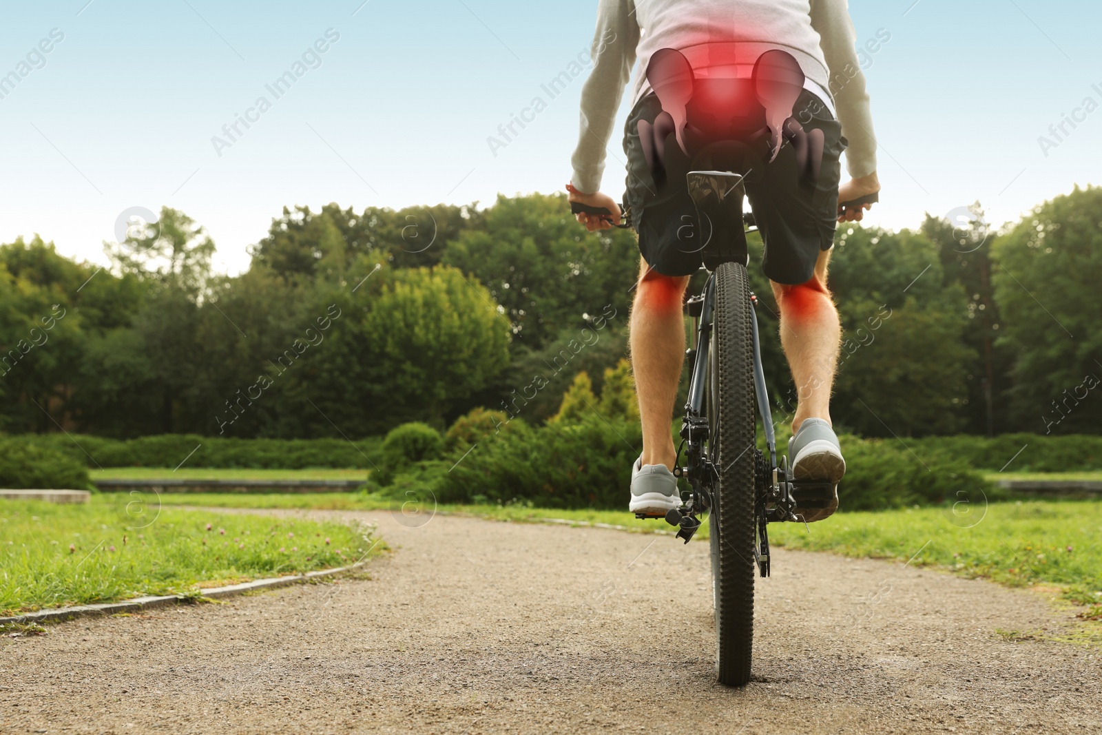 Image of Problem of injured coccyx. Man riding bicycle on road