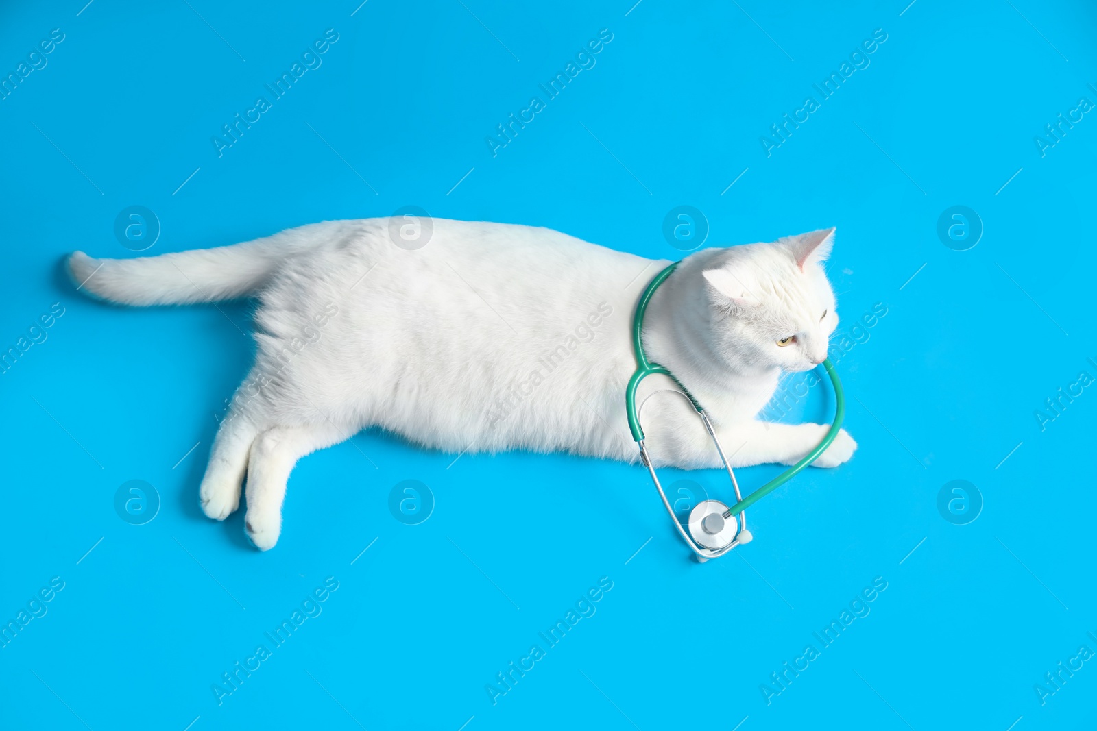 Photo of Cute cat with stethoscope as veterinarian on light blue background, above view