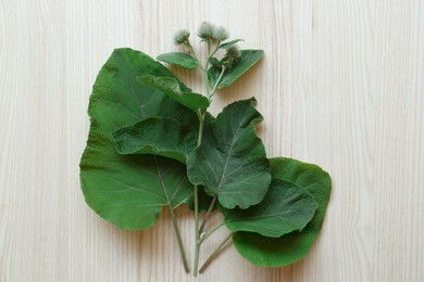 Fresh green burdock leaves and flowers on wooden table, flat lay