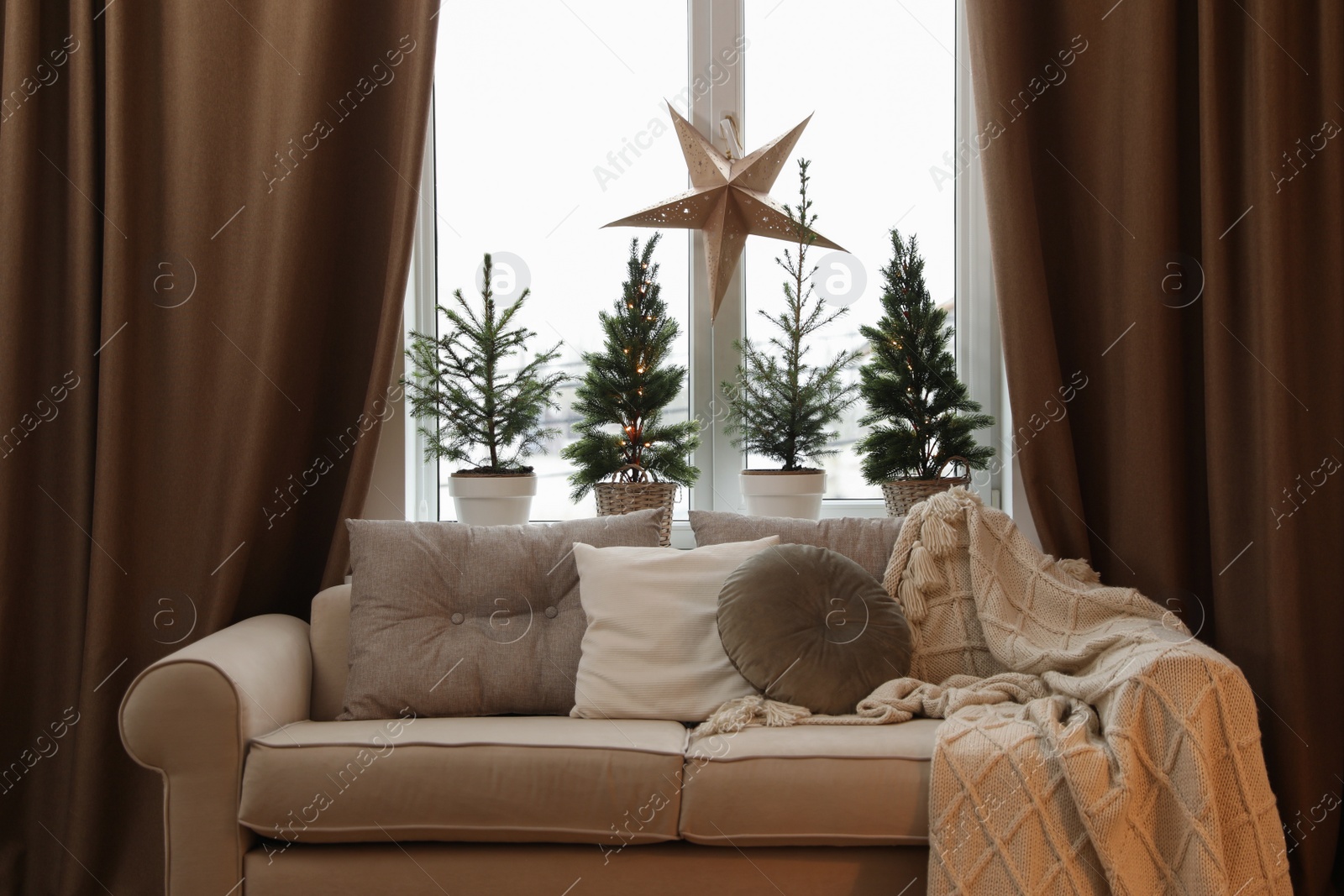 Photo of Sofa near window with small fir trees in room. Interior design