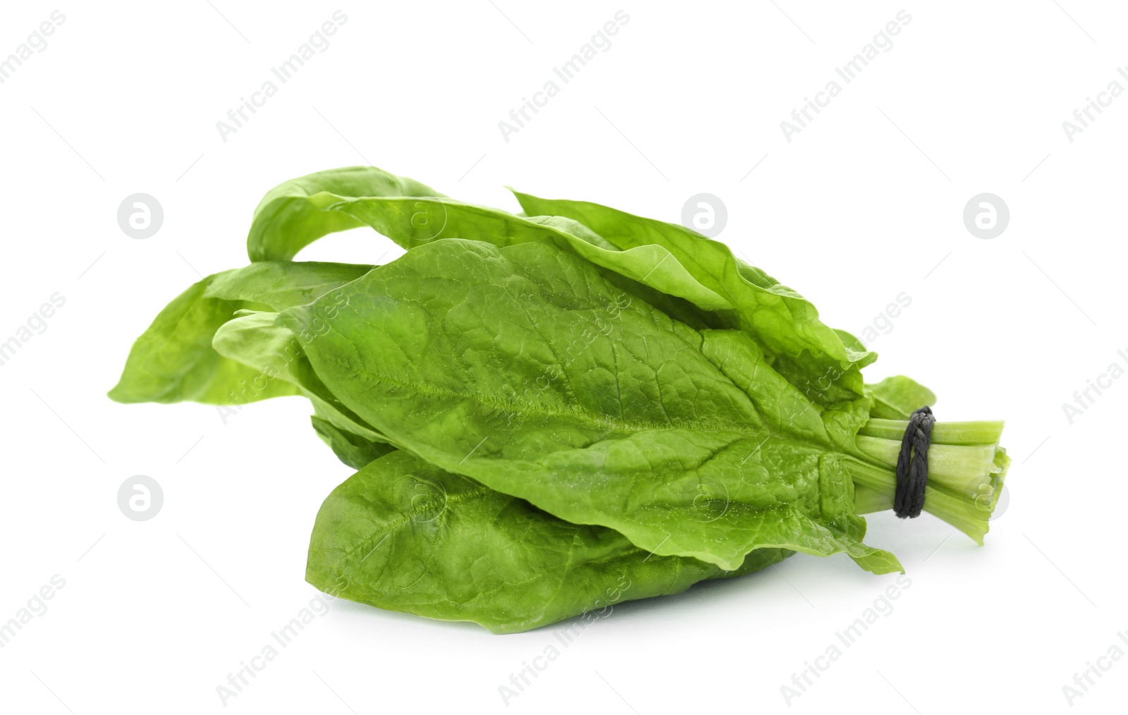 Photo of Bundle of fresh spinach isolated on white