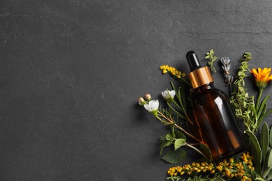 Bottle of essential oil, different herbs and flowers on black table, flat lay. Space for text