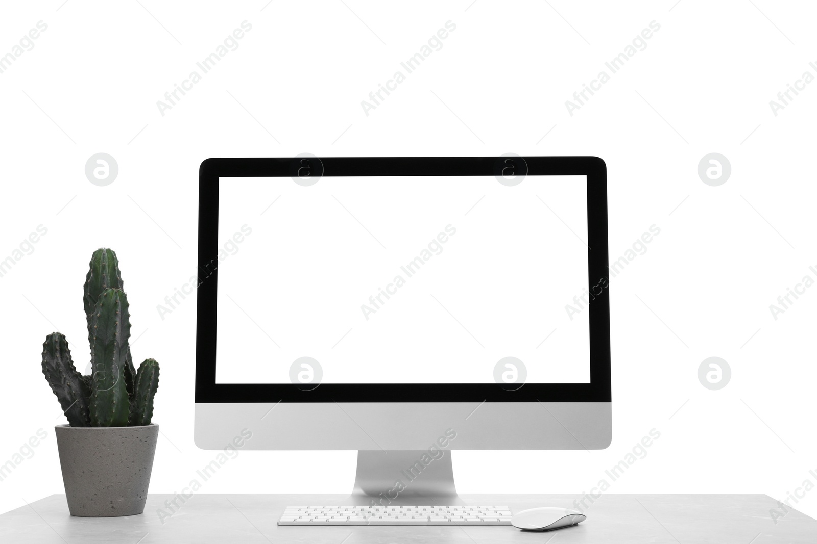 Photo of New computer with blank monitor screen and potted cactus on table against white background