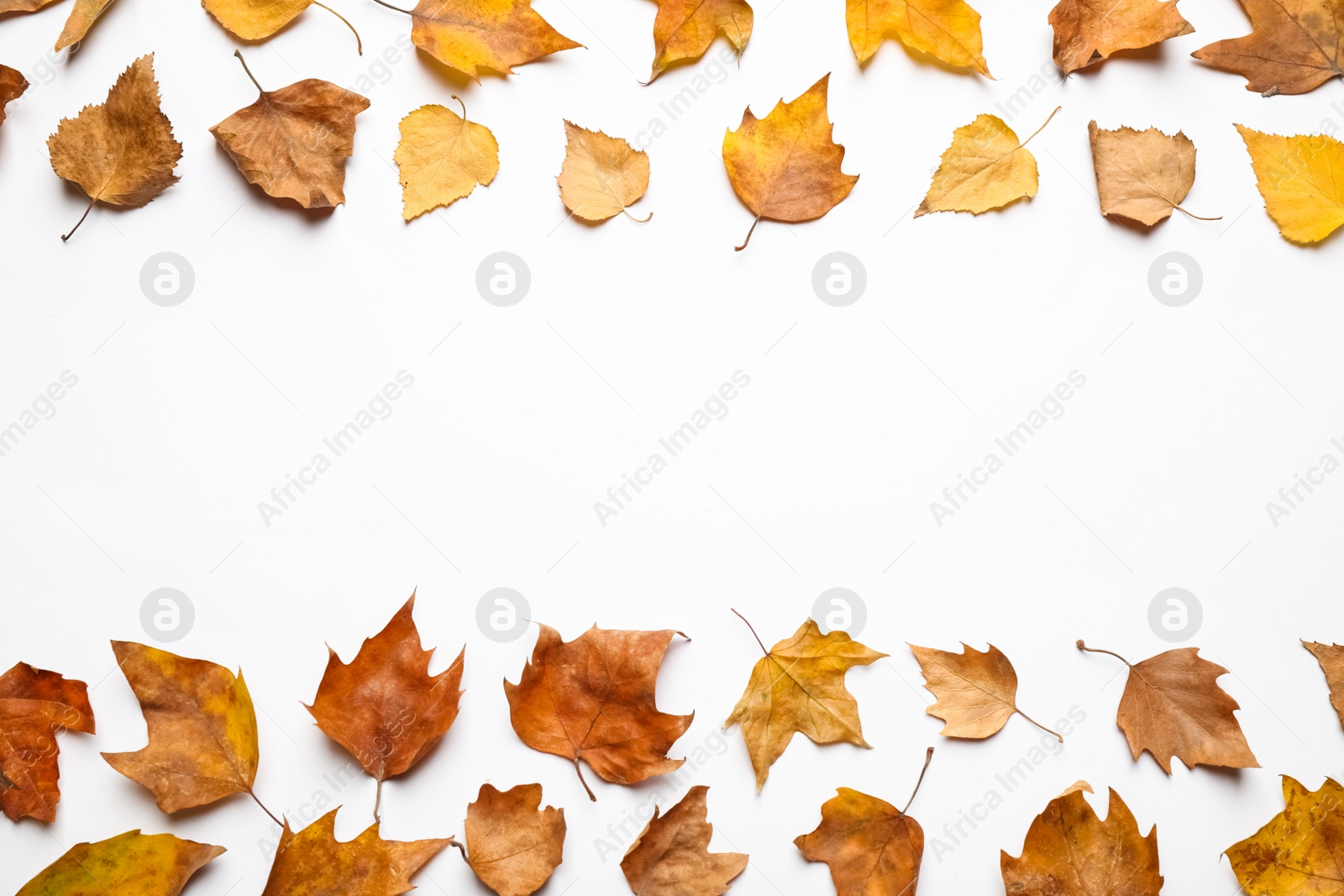 Photo of Flat lay composition with autumn leaves and space for text on white background