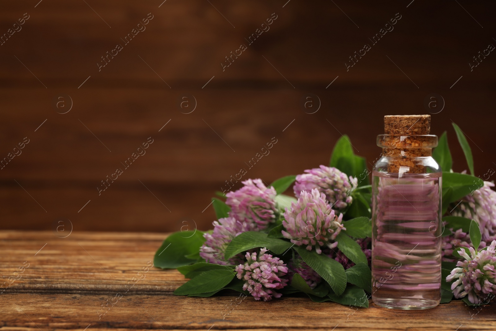 Photo of Beautiful clover flowers and bottle of essential oil on wooden table. Space for text