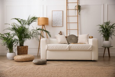 Photo of Beautiful potted house plants in stylish living room