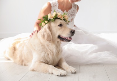 Photo of Bride and adorable Golden Retriever wearing wreath made of beautiful flowers indoors, closeup