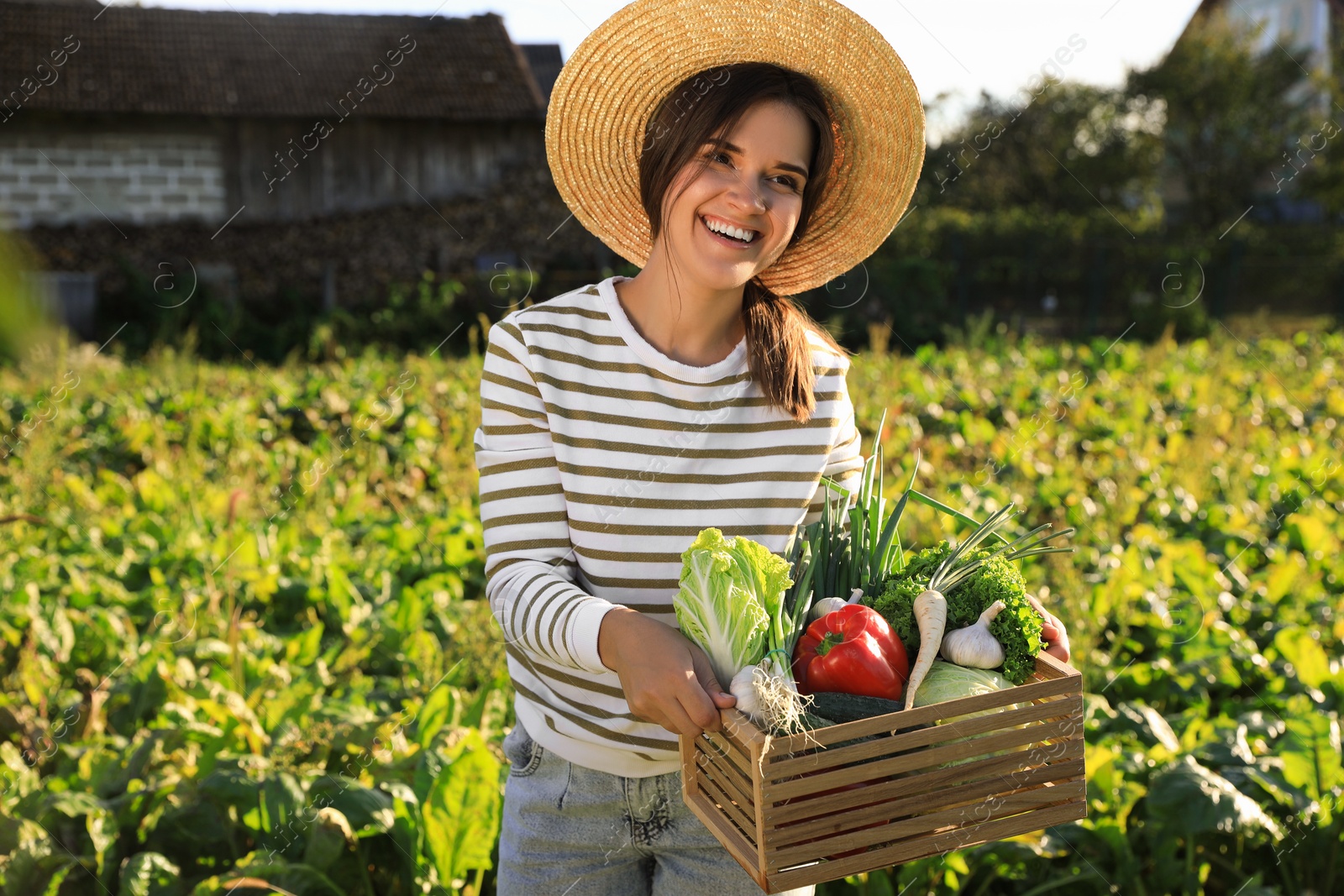 Photo of Woman with crate of different fresh ripe vegetables on farm