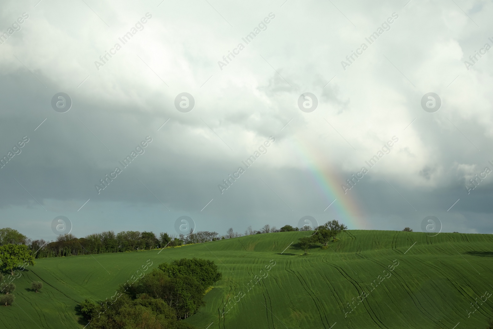 Photo of Beautiful view of green field and cloudy sky with rainbow