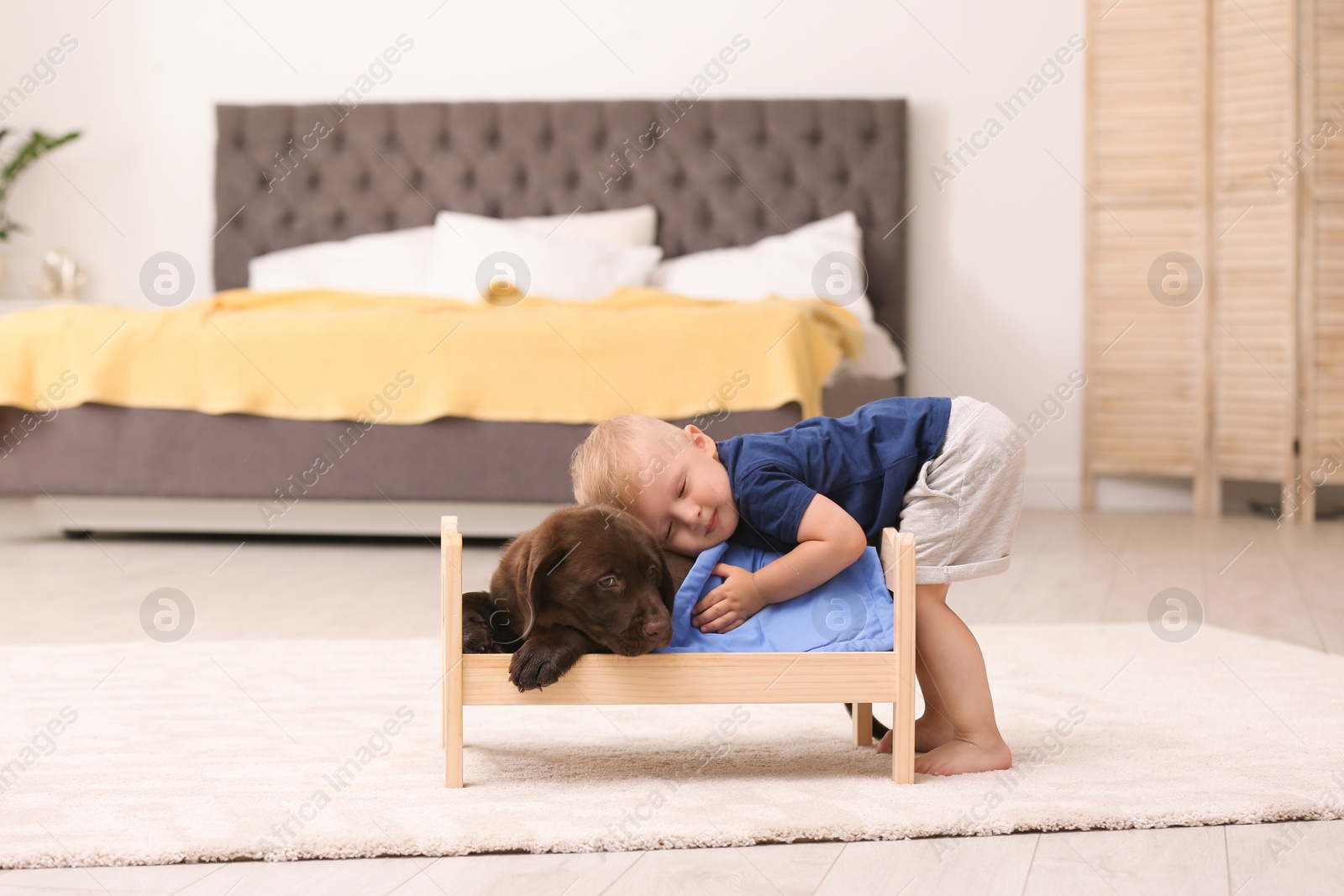 Photo of Little boy playing with adorable chocolate labrador retriever at home