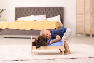 Photo of Little boy playing with adorable chocolate labrador retriever at home