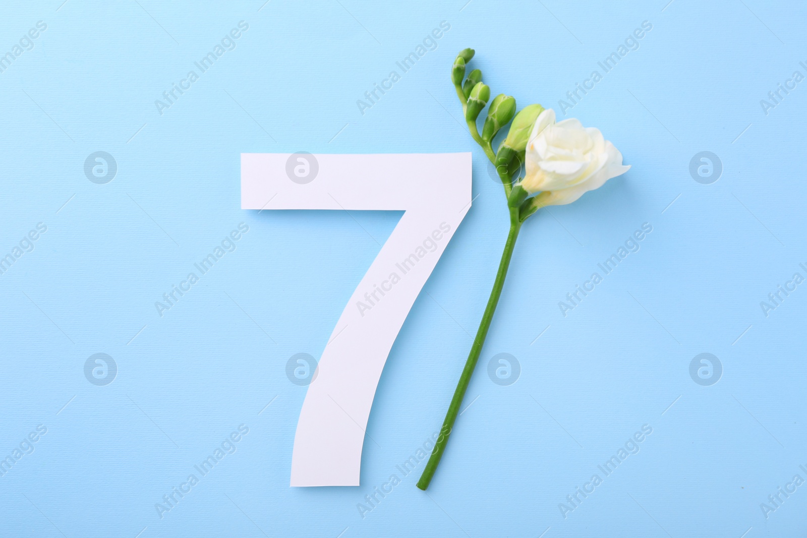 Photo of Paper number 7 and beautiful flower on light blue background, top view