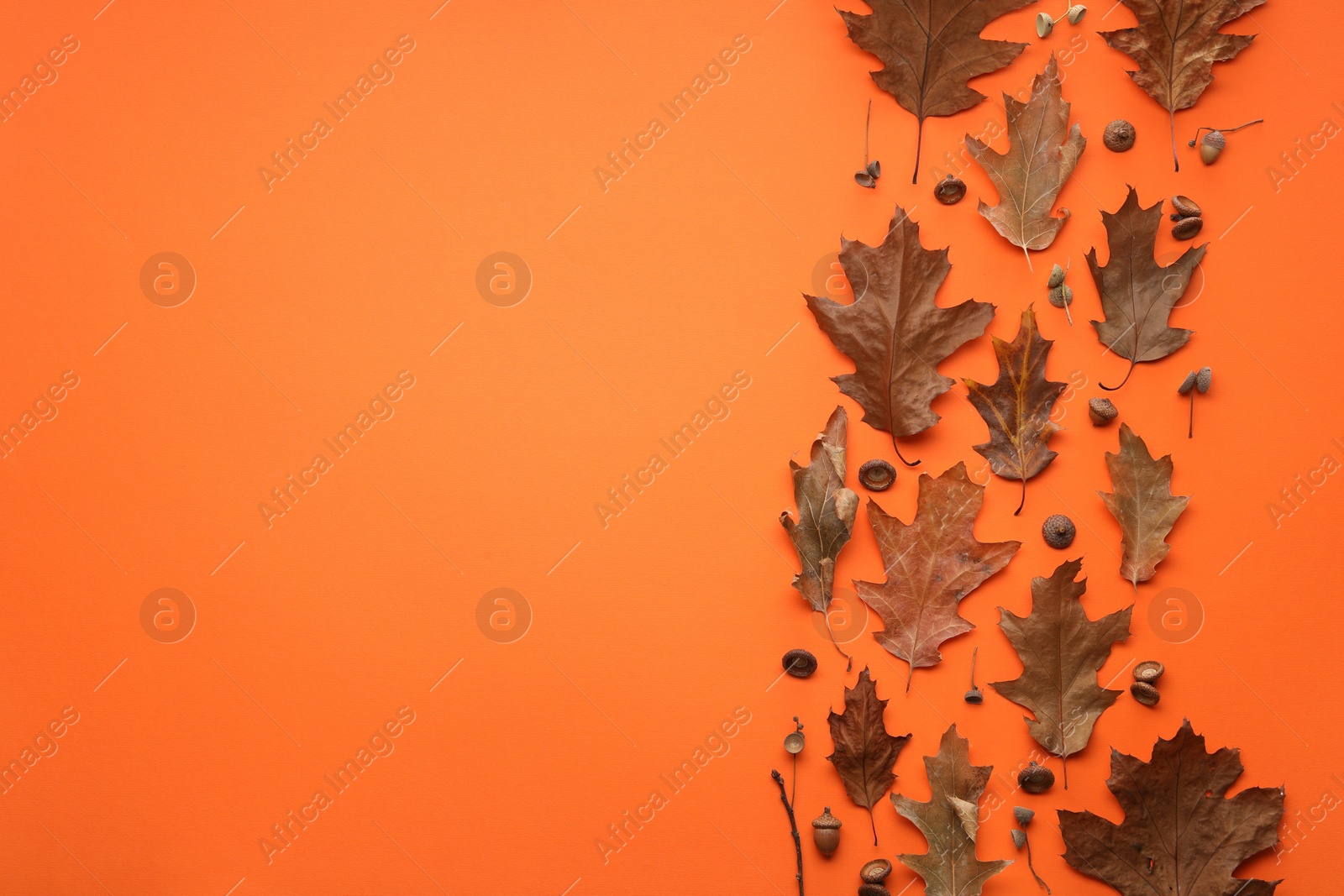 Photo of Dry autumn leaves and acorns on orange background, flat lay. Space for text