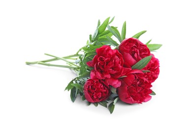 Photo of Bouquet of beautiful red peonies isolated on white