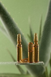 Photo of Wet skincare ampoules near aloe vera on light green background, closeup