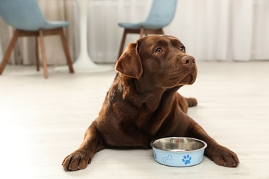 Photo of Cute friendly dog lying near feeding bowl on floor in room