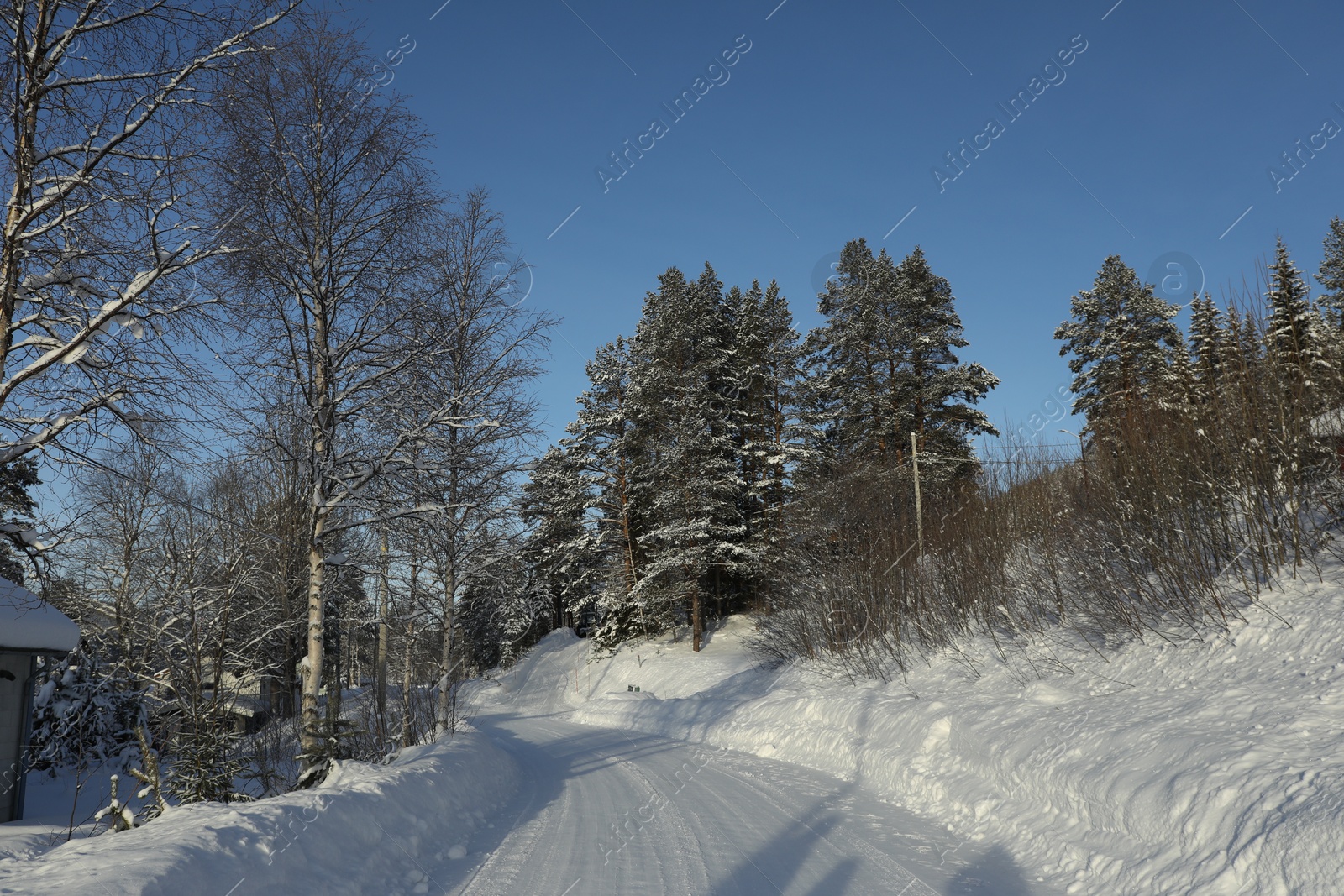 Photo of Beautiful view of road and trees covered with snow outdoors. Winter landscape